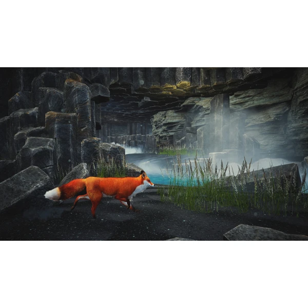 Spirit of the North: Enhanced Edition (PS5) - Hry na PS5 - Obrázok IXK3100201
