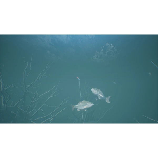 Bassmaster Fishing 2022 (PS5) - Hry na PS5 - Obrázok JART600301