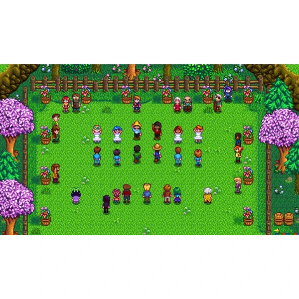 Stardew Valley (SWITCH) - Hry na Nintendo Switch - Obrázok JMK3100201