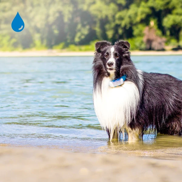 Tractive GPS DOG 4 tracker polohy a aktivity pre psov biely - GPS Moduly - Obrázok JVWK600301