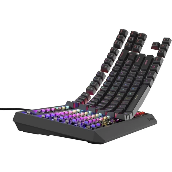 Genesis THOR 230 TKL RGB mechanická klávesnica čierna Outemu Brown - Klávesnice - Obrázok K2I5000O01