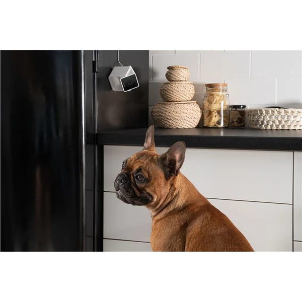 PetCube Cam - Kamery - Obrázok K5T5000J01
