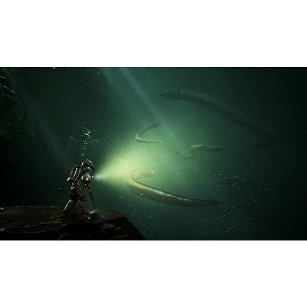 The Sinking City (PS4) - Hry na PS4 - Obrázok K894100201