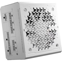 Corsair RM750e biely - Zdroje