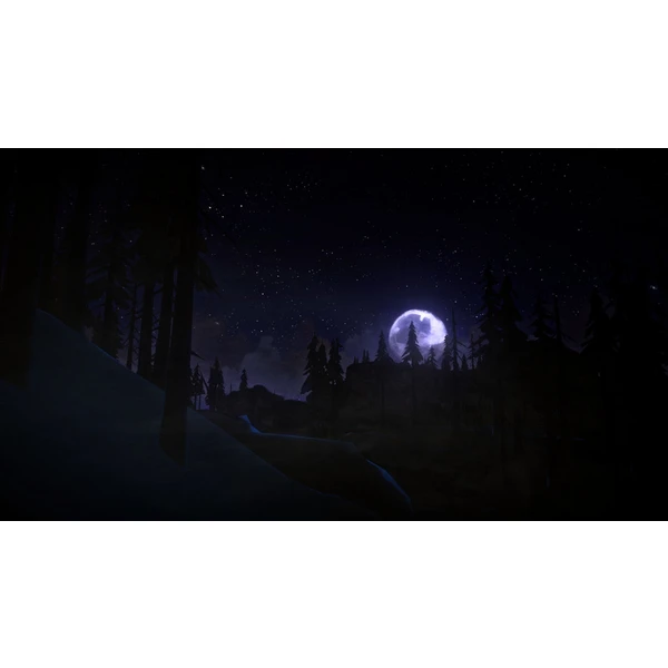 The Long Dark (PS4) - Hry na PS4 - Obrázok KO95100201