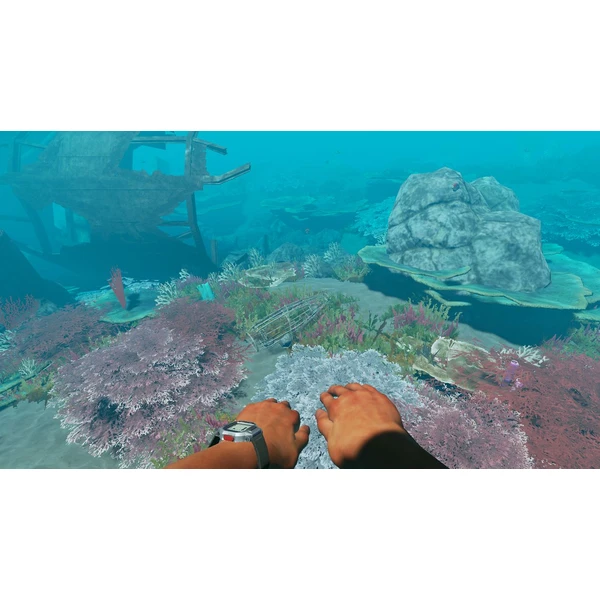 Stranded Deep (Switch) - Hry na Nintendo Switch - Obrázok KQGW600301