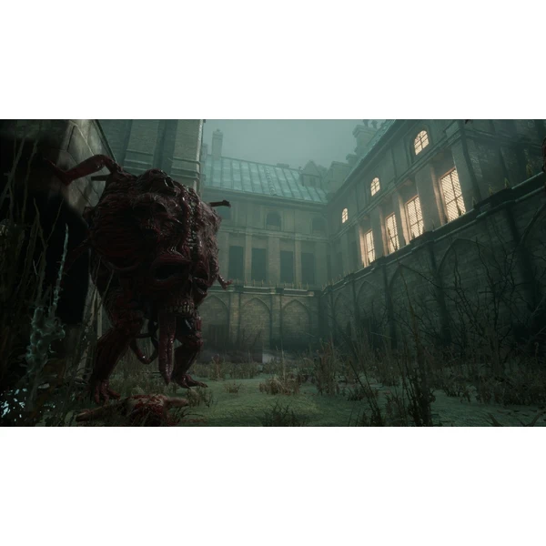 Morbid: The Lords of Ire (PS5) - Hry na PS5 - Obrázok L3I4000O01