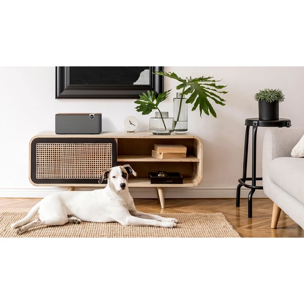 Klipsch The One Plus Bluetooth reproduktor orechovo hnedý - Reproduktory - Obrázok L4LG000K01