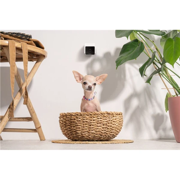 PetCube Cam - Kamery - Obrázok L5T5000J01