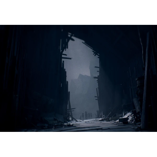 Reanimal (Game-key card) (Switch 2) - Hry na Nintendo Switch 2 - Obrázok LBHG000K01