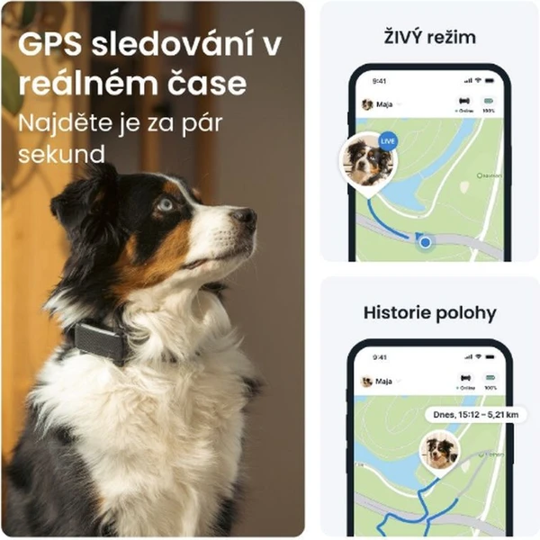 Tractive GPS DOG 6 lokátor polohy a aktivity pre psov čierny - GPS Moduly  - Obrázok LBTD000L01
