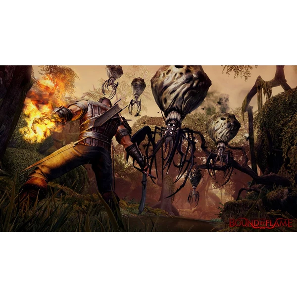 Bound By Flame (PS4) - Hry na PS4 - Obrázok LG55100201
