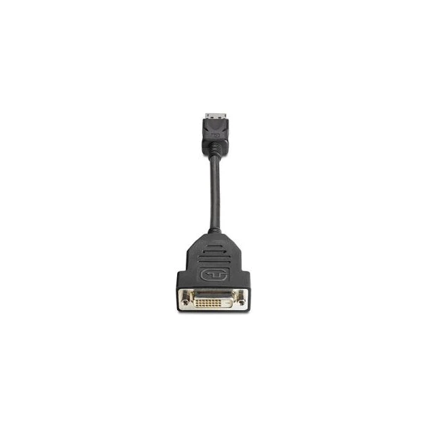HP DisplayPort/DVI-D redukcia 0,19m čierna - Káble a redukcie - Hlavný obrázok