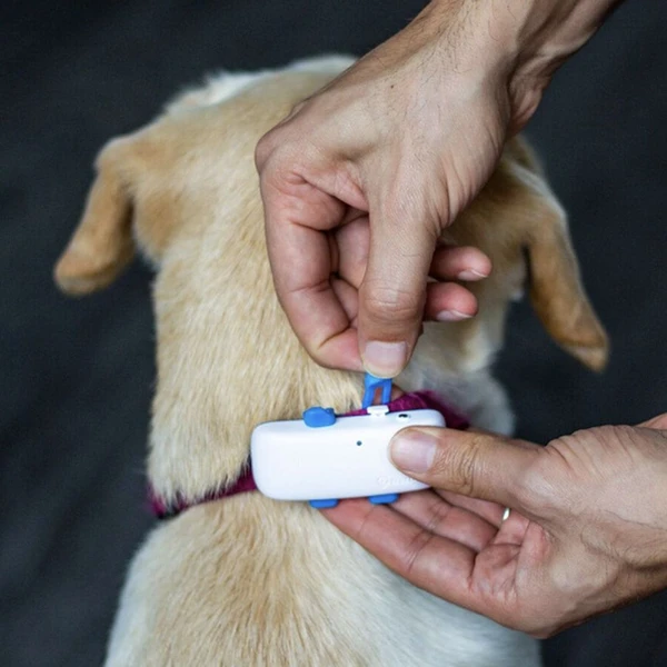 Tractive GPS DOG 4 náhradné gumové spony 3ks - GPS Moduly  - Obrázok M503000L01