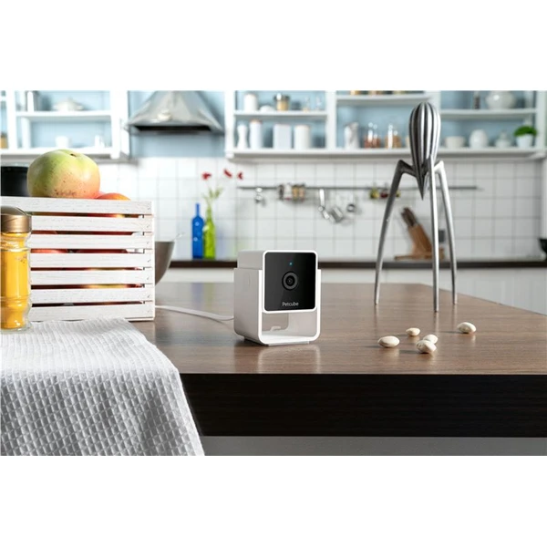 PetCube Cam - Kamery - Obrázok M5T5000J01