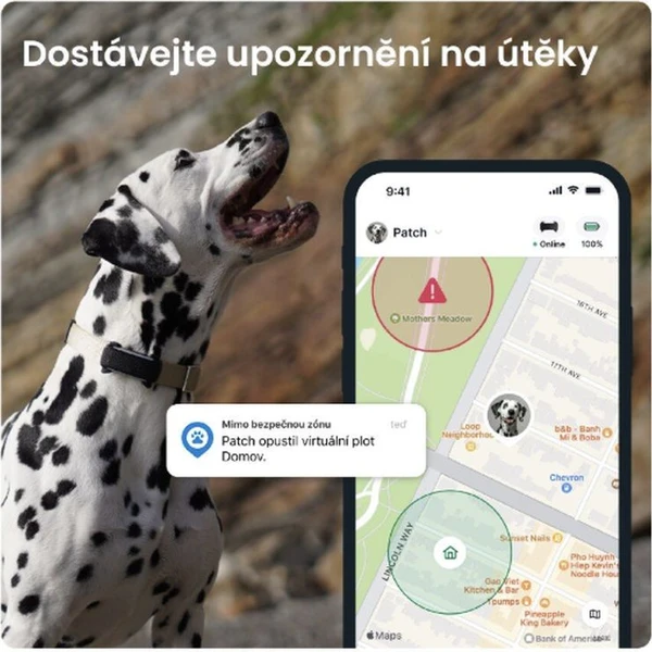Tractive GPS DOG 6 lokátor polohy a aktivity pre psov čierny - GPS Moduly  - Obrázok MBTD000L01