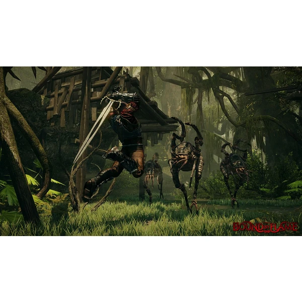 Bound By Flame (PS4) - Hry na PS4 - Obrázok MG55100201