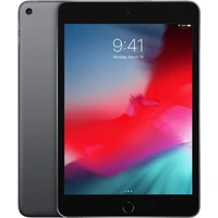Apple iPad mini 256GB Wi-Fi + Cellular vesmírne šedý (2019) - Tablety