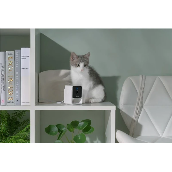 PetCube Cam - Kamery - Obrázok N5T5000J01