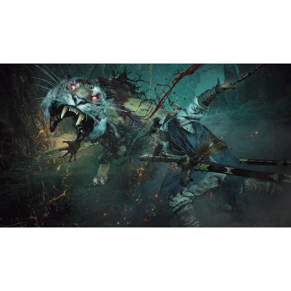 Wo Long: Fallen Dynasty (PS5) - Hry na PS5 - Obrázok NKK8700301