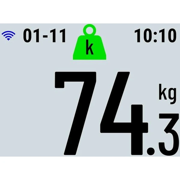 Garmin Index S2 múdra váha biela - Inteligentné váhy - Obrázok NLS4300401