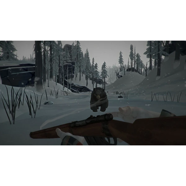 The Long Dark (PS4) - Hry na PS4 - Obrázok NO95100201