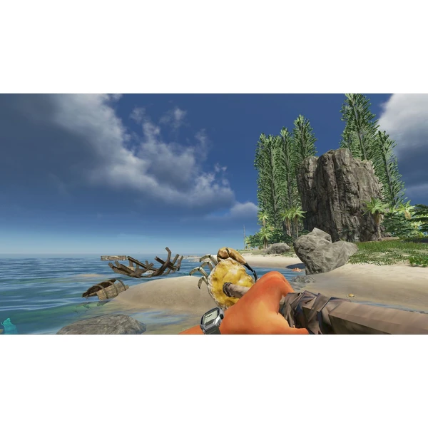 Stranded Deep (Switch) - Hry na Nintendo Switch - Obrázok NQGW600301