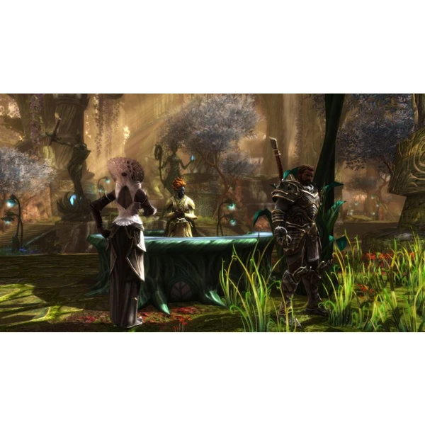 Kingdoms of Amalur Re-Reckoning (Xbox One) - Hry na Xbox One - Obrázok NXN3100201