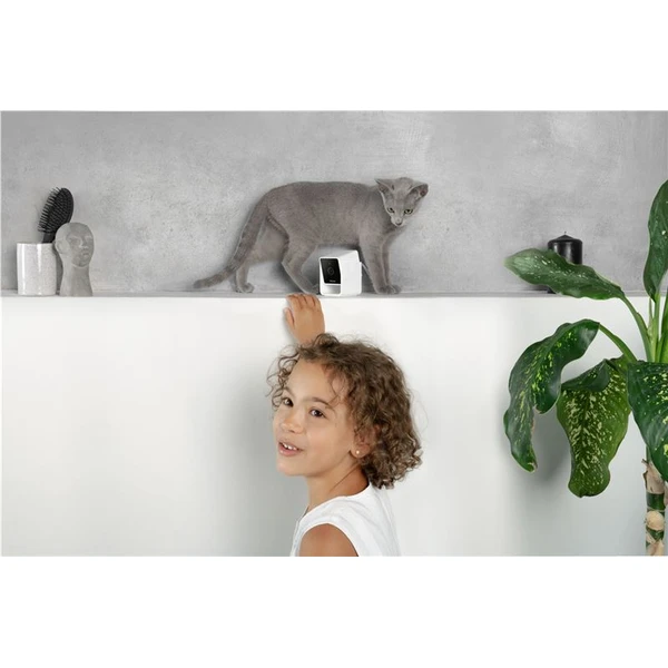 PetCube Cam - Kamery - Obrázok O5T5000J01