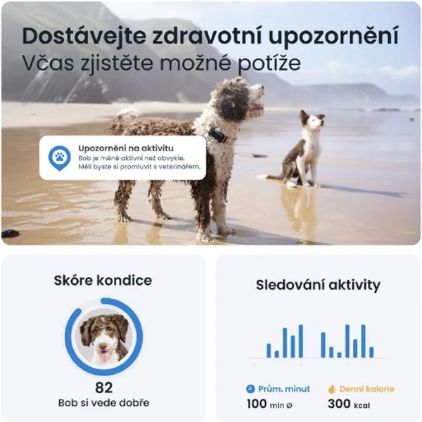 Tractive GPS DOG 6 lokátor polohy a aktivity pre psov čierny - GPS Moduly  - Obrázok OBTD000L01