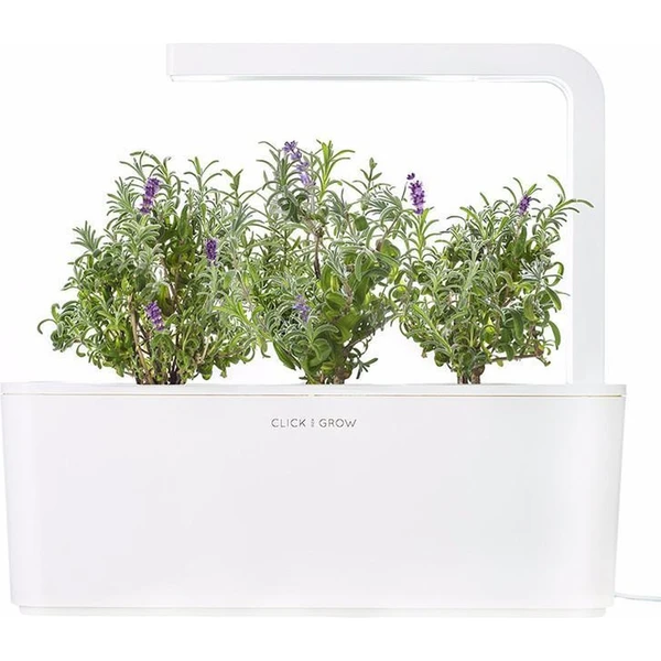 Click and Grow levanduľa kapsule so semienkami a substrátom 3ks - Sadenice - Obrázok OLVR000401