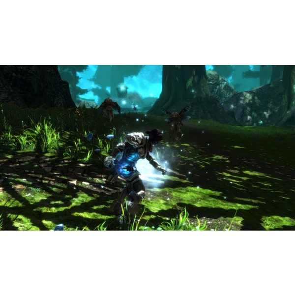 Kingdoms of Amalur Re-Reckoning (Xbox One) - Hry na Xbox One - Obrázok OXN3100201