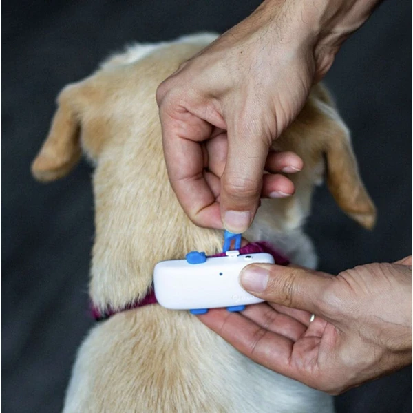 Tractive GPS DOG 4 náhradné gumové spony XL 3ks - GPS Moduly  - Obrázok P503000L01