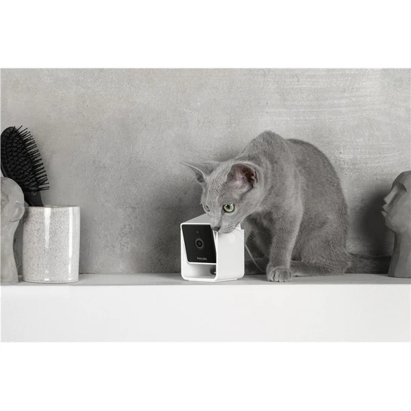 PetCube Cam - Kamery - Obrázok P5T5000J01