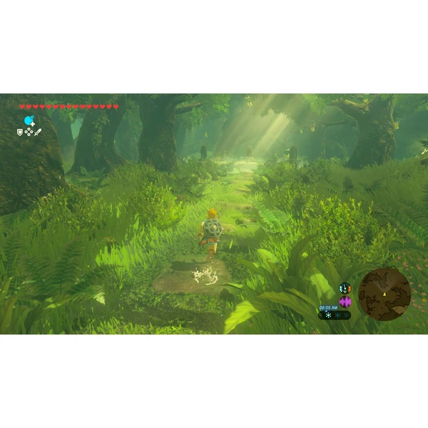 NS2 Legend of Zelda: Breath of the Wild (Switch 2) - Hry na Nintendo Switch 2 - Obrázok P7OF000L01