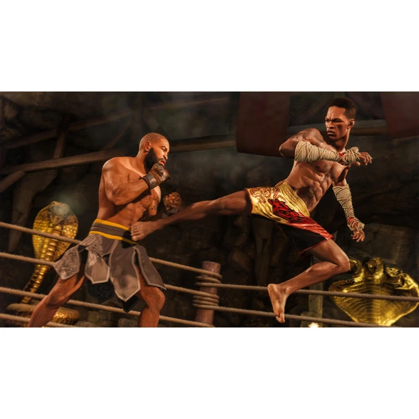 EA UFC 4 (Xbox One) - Hry na Xbox One - Obrázok PON3100201