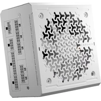 Corsair RM1000e biely - Zdroje