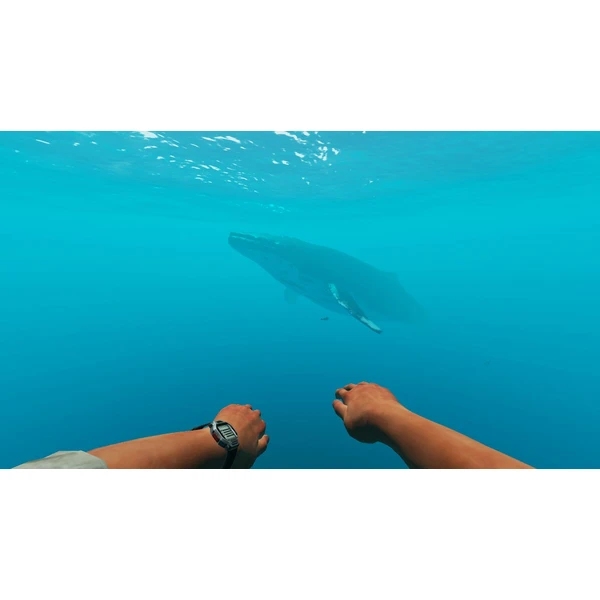 Stranded Deep (Switch) - Hry na Nintendo Switch - Obrázok PQGW600301
