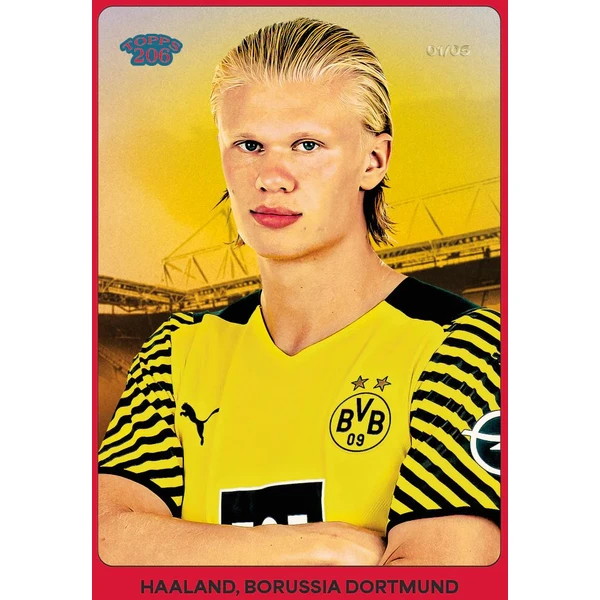 Topps futbalové karty BVB 2024/25 Team Set - Futbalové karty - Obrázok Q4MF000J01