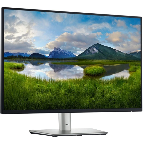 Dell P2425 monitor 24" - Monitory - Obrázok Q4N3000J01