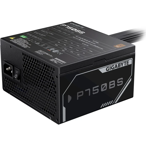 GIGABYTE GP-P750BS - Zdroje - Obrázok QBOK000K01