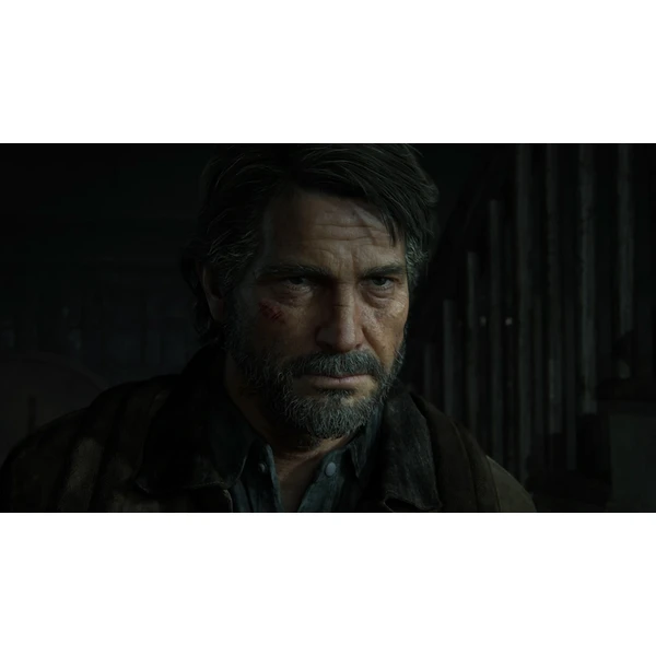 Last of Us: Part II (PS4) - Hry na PS4 - Obrázok QYJ3100201
