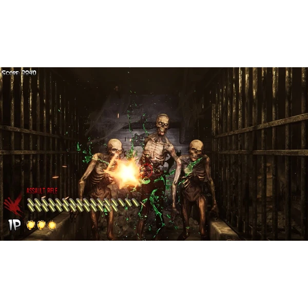 The House of the Dead: Remake (PS4) - Hry na PS4 - Obrázok QZFG300401