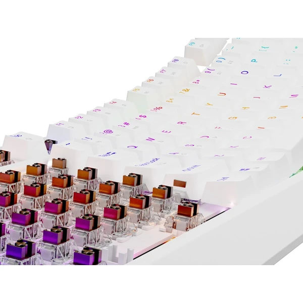 Genesis THOR 230 TKL RGB mechanická klávesnica biela Outemu Brown - Klávesnice - Obrázok R2I5000O01