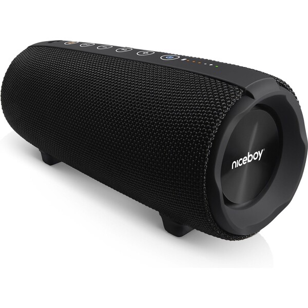 E-shop Niceboy RAZE Titan 4 bezdrôtový reproduktor čierny