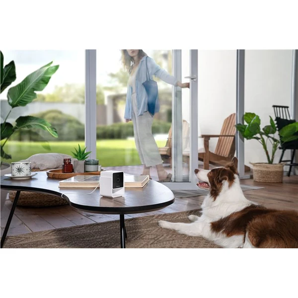 PetCube Cam - Kamery - Obrázok R5T5000J01