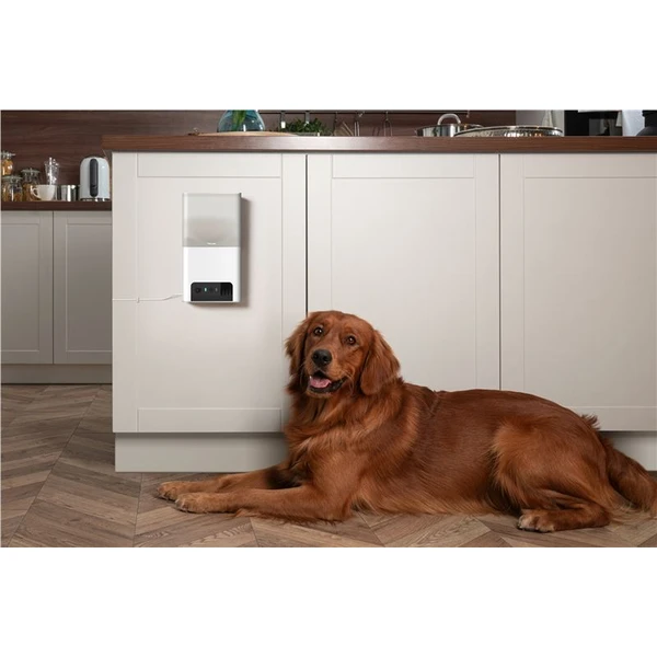 Petcube Bites 2 Lite - Kamery - Obrázok R7T5000J01
