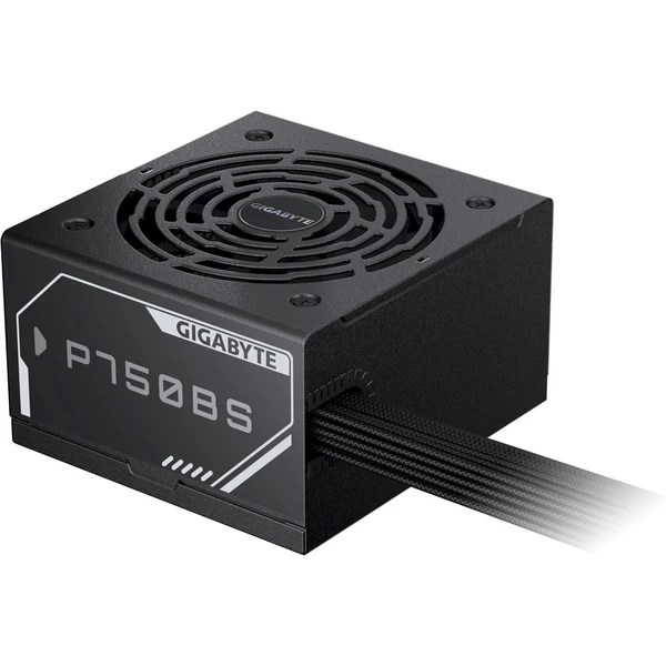 GIGABYTE GP-P750BS - Zdroje - Obrázok RBOK000K01