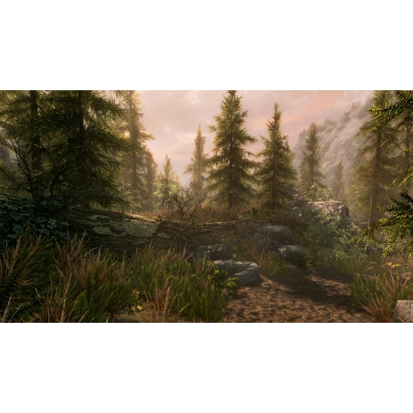 The Elder Scrolls V: Skyrim (PS4) - Hry na PS4 - Obrázok RG44100201