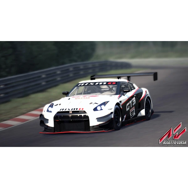 Assetto Corsa (PS4) - Hry na PS4 - Obrázok RY64100201